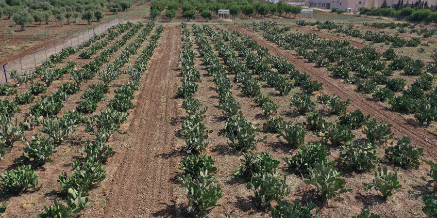 Smart grid technology